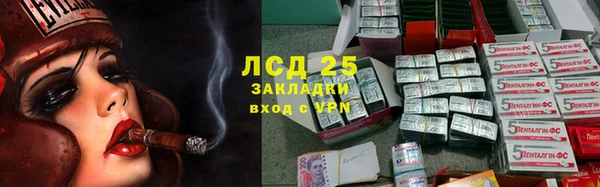 спиды Дмитриев