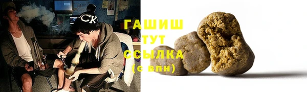 амф Ельня