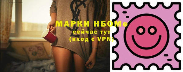 молекула духа Елабуга