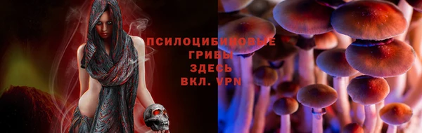 круглые Дмитров