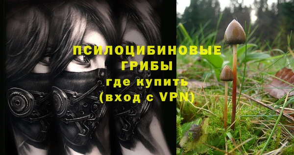 синтетический гашиш Дмитровск