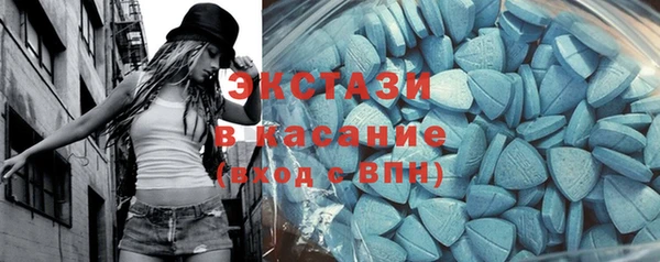 амф Ельня