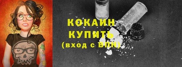 спиды Дмитриев