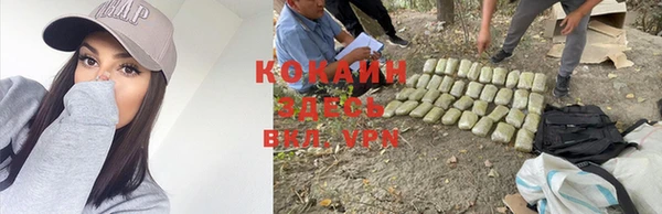 круглые Дмитров