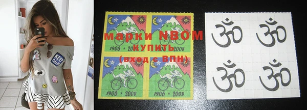 амф Ельня
