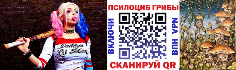 Псилоцибиновые грибы Cubensis  Коломна 